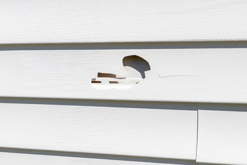 Repairing Siding